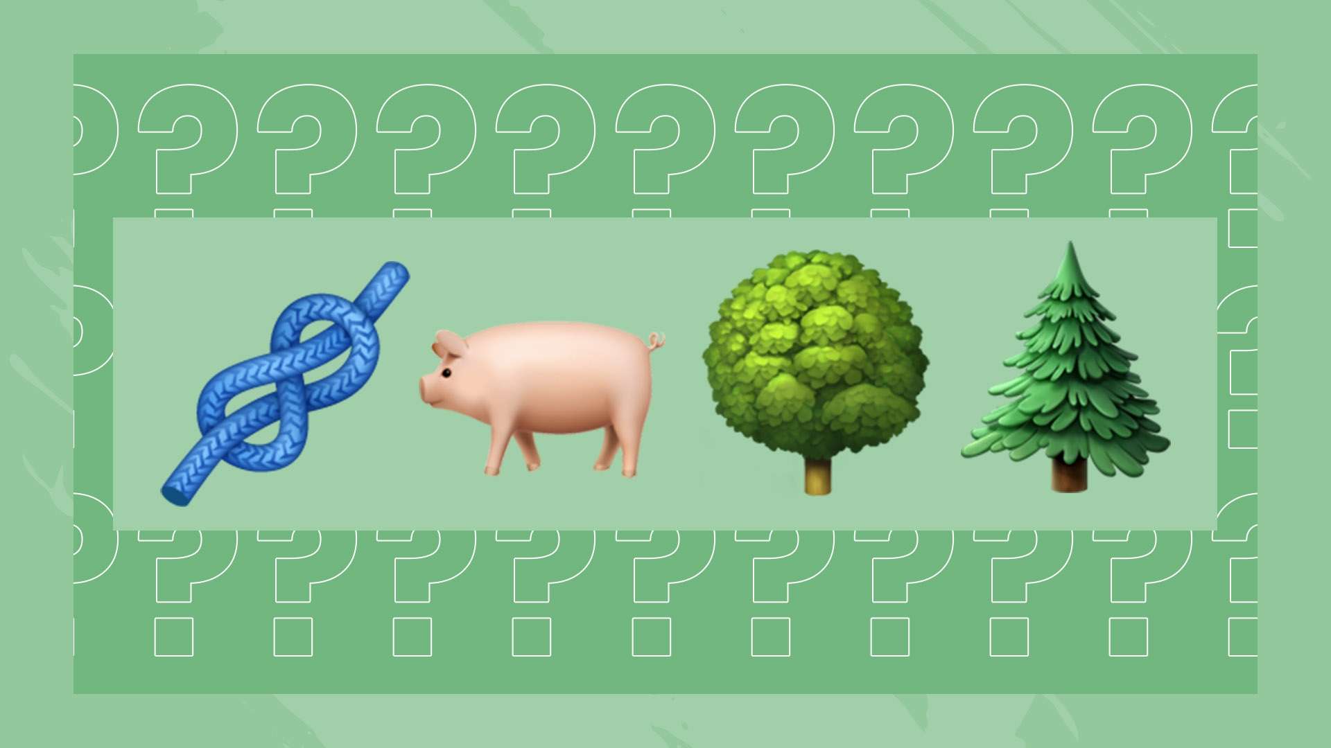 关注和讨论 关注和讨论